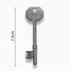 Radar Disabled Toilet Key Standard Size 5 Pack by Solid As A Lock Hardware