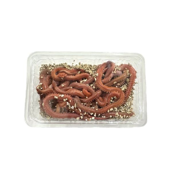 red warm 50g pack