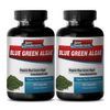 Stem Cell Enhancer - Organic Blue Green Algae 500mg - Miracle Superfood 2B