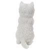 Playing Westie