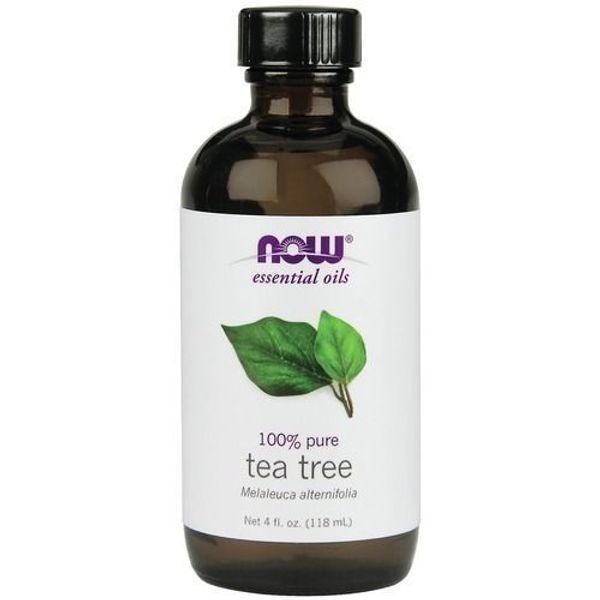 100% Pure NOW Foods Tea Tree Essential Oil 4oz. Bottle for Burners & Diffusers! 