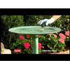 Summit Mosquito Dunks 111-5  80 Dunks 4 x 20 Organic Biological Mosquito Control