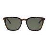 Calvin Klein RS368 Aviator Sunglasses Dark Tortoise