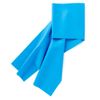 Exercise Band, Heavy, Blue, 6 Yd., Each