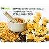 tnvitamins Boswellia Serrata Herbal Extract Capsules | 1200 MG/Capsule (120 Capsules) | Joint Support Supplement* | Ayurvedic Herb: Indian Olibanum/Frankincense