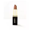 KASH Beauty Rich Sienna lipstick