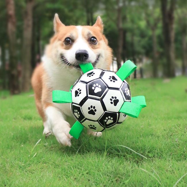 Buy Wholesale China Dog Toys Interactive Ball With Grab Tabs For