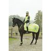 Kerbl Reflective Horse Safety Blanket Size:135 cm