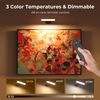 2 Pack Picture Light Battery Operated Rechargeable LED Wall Light with Remote