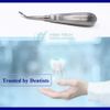 Surgical Dental Elevator Root Extraction Surgery Teeth Luxating Instrument