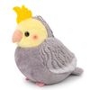 Trumpet Cockatiel, Grey..