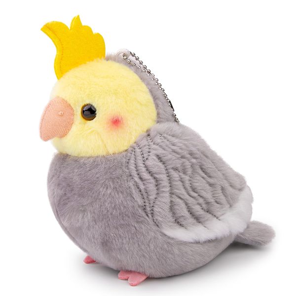 Trumpet Cockatiel, Grey..