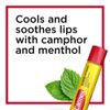 Carmex Medicated Lip Balm Sticks, Lip Moisturizer for Dry, Chapped Lips, 0.15 OZ - 3 Count (2 Pack)