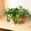 Miffy Ghost Miffy Miffy Mascot Doll Press Point Interior Goods