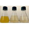 PyroFarms PYRO Sea Salt Spray with microalgae extract for face and body healing