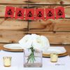Andaz Press Hanging Pennant Party Banner with String, Ladybug, 9-Feet, 1-Set, Decor Paper Decorations, Includes String