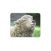 Funny Sheep Mouse Mat Pad - Lamb Farm Yard Animal Farmer Computer #16044