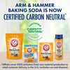 ARM & HAMMER Pure Baking Soda, for Baking, Cleaning & Deodorizing, Pool 10.8 lb