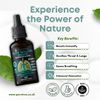 Puretrex Elite Mullein Drops, Organic Mullein Leaf Extract, 60ml, Lung & Respiratory Support Supplement