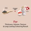 MINA ibrow Henna Regular Pack with Stencils-Combo Pack (Pearl Grey)