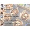Bakery Direct 50 Standard Size Tulip Muffin Wraps Cases Colour Green