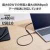 Elecom MPA-ECC10BK USB Type C Extension Cable, 3.3 ft (1 m), USB2.0, 480Mbps, PD, 60W, Black