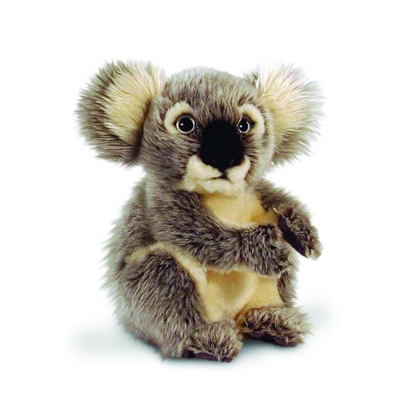 Keel Toys 20cm Koala