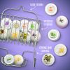 Essential Oil Shower Steamers and Bath Bombs Set - Lavender, Peppermint, Vanilla Coconut, Eucalyptus, Honey Almond Scented Aromatherapy Vaporizing Tablets, Relaxation Gifts for Women, 11pc
