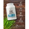 Bone Broth Protein Powder | Grass Fed 2.2lb | Unflavored | by Herbage Farmstead