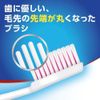 Aquafresh Toothbrush, Hard (Set of 10) Aquafresh