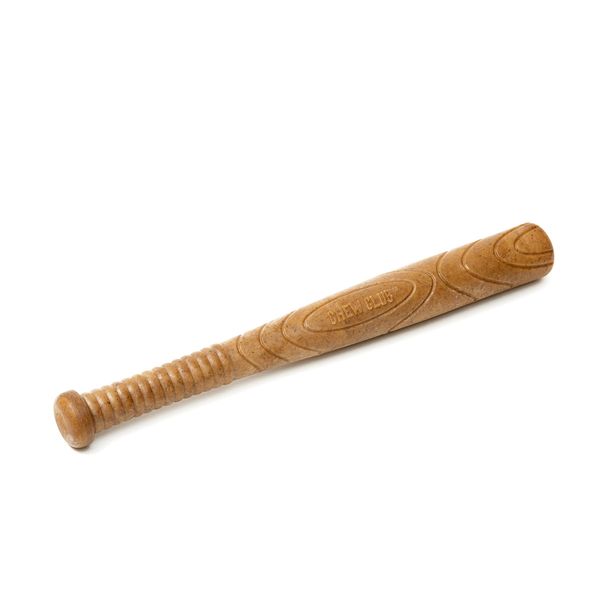 Power Bone Pet Chew Toy for Dogs - Durable, Non Toxic & Pet Safe - Best for Aggressive Chewers, Long Lasting Dental Health, Dog Teeth Cleaning, Dog Life Stages - Baseball Bat 12"