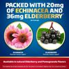 COLD-EEZE DEFEND-TWIN PACK! -Immune Support Lozenges W/ Zinc & Elderberry - NEW!