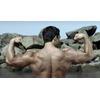 Pumpkin Seeds Extract - Male Virility 1300mg - Prostate Formula Tablets 1B