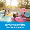Orb-3 F839-000-1Q Pool Enzymes Bottle, 1-Quart