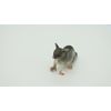 Opossum Toy, Possum, Realistic Rubber Model, Hand Painted Model  2.5" CH065BB79