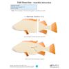 NewPath Atlantic Perch Fish Dissection 3-D Model Making Kit - Individual Student Edition (17-7747)