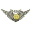 EagleEmblems P12025 Wing-USN,Combat Aircrew (Mini) (1-1/16'')