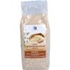 Flohsamenschalen indisch, 250 g