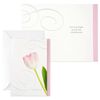 Hallmark Assorted Sympathy Cards (Flowers, 12 Cards and Envelopes)