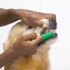 Top Performance ProDental Finger Brushes — Convenient Toothbrushes for Cleaning Pets' Teeth, 50-Pack