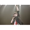 TAMAKI HIROSHI LIVE TOUR 2009『alive』 [DVD]