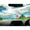 Coolballs Cool Pink Golf Car Antenna Ball/Mirror Dangler/Auto Dashboard Accessory