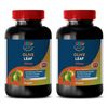 Olive Leaf 500 - OLIVE LEAF EXTRACT - Lose Weight Fast! - Full Body Cleanse - 2B