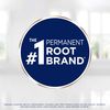 Clairol Root Touch-Up Permanent Hair Color Creme, 5 Medium Brown, 2 Count