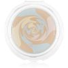 IPSA Control Powder