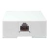 SF Cable, 6P4C Single Surface Mount Box