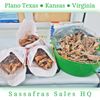 West Virginia Sassafras * Potent FRESH Dug Red Root* 1 Pound