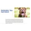 SPERM BOOSTERS FOR STUD DOG - Increase Sperm Count , Reproductive MADE IN USA