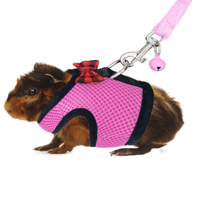 Rypet Guinea Pig Harness and Leash - Soft Mesh Small Animal Harness with Safe Bell, No Pull Comfort Padded Vest for Guinea Pigs, Ferret, Chinchilla and Similar Small Animals