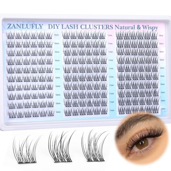 Lash Clusters Wispy Eyelash Clusters CC Curl Cluster Lashes zanlufly Natural Individual Lashes 180Pcs Eyelash Extension 10-12MM DIY Lash Extension